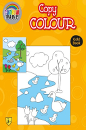 Rainbow Magic Copy Colour Gold Book