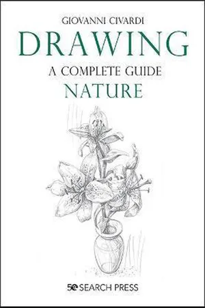 Drawing- A Complete Guide: Nature