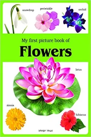 My first picture book of Flowers: Picture Books for Children