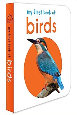 My First Book of Birds