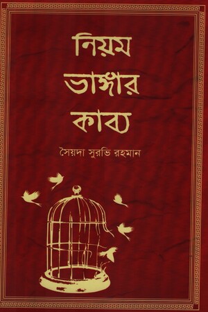 নিয়ম ভাঙ্গার কাব্য