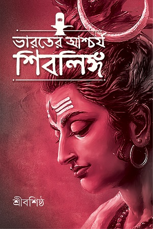 ভারতের আশ্চর্য শিবলিঙ্গ