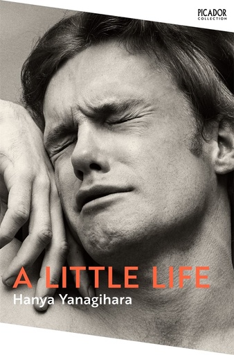[9781035035038] A Little Life