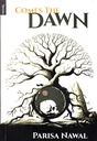 Comes The Dawn