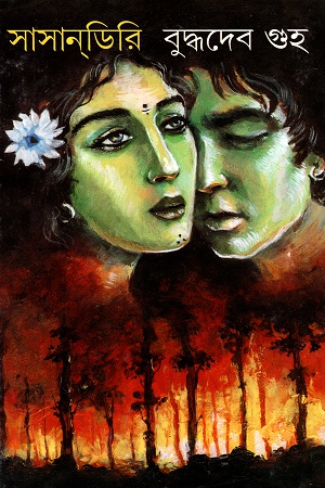 [8170662591] সাসানডিরি