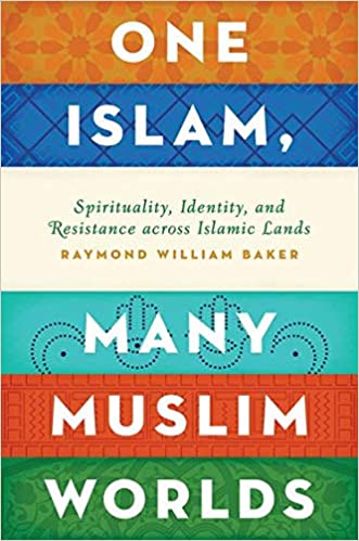 [9780199846474] One Islam, Many Muslim Worlds: Spirituality, Identity, and Resistance across Islamic lands (Religion and Global Politics)