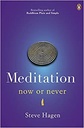 Meditation Now or Never