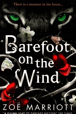 [9781406333374] Barefoot on the Wind