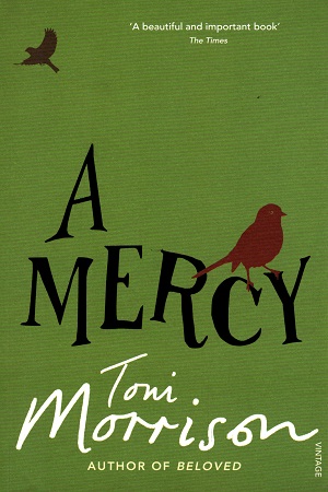 [9780099502548] A Mercy