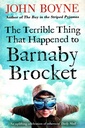 The Terrible Thing That Happened to Barnaby Brocket