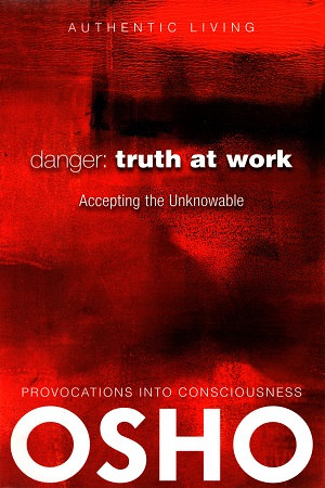 [9780918963048] Danger: Truth at Work Accept the Unknowable