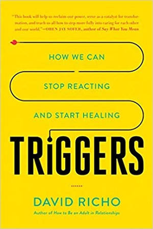 [9781569572214] Triggers : How We Can Stop Reacting and Start Healing