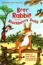 BRER RABBIT AND THE BLACKBERRY BUSH - Level 2 (First Reading)