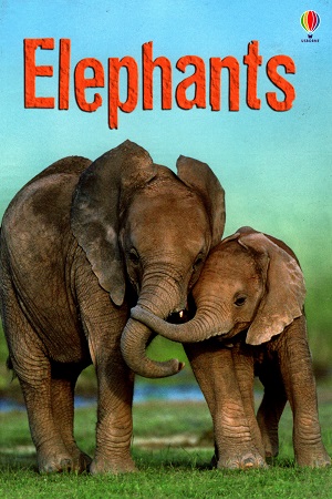 [9781409530497] Elephants (Beginners)