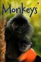 Monkeys (Beginners)