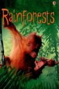 Rainforests (Beginners)