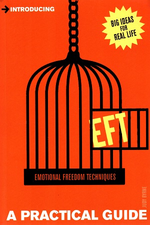 [9781848316621] A Practical Guide to EFT