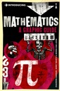 Introducing Mathematics: A Graphic Guide