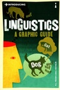 Introducing Linguistics: A Graphic Guide