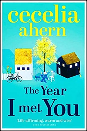 [9780007501793] The Year I Met You