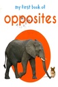 My First Book of Opposites