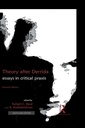 Theory after Derrida: Essays in Critical Praxis