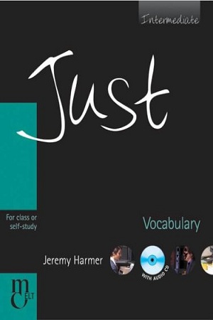 [9788130911069] Just Vocabulary