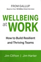 Wellbeing at Work