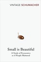 Small Is Beautiful