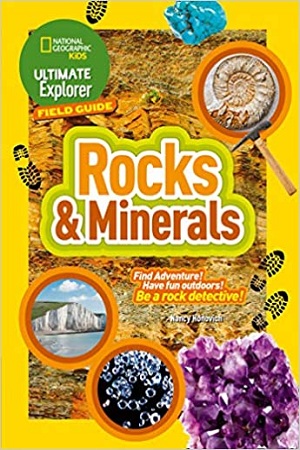 [9780008321543] Rocks and Minerals