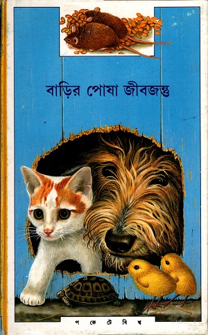 [817756059] বাড়ির পোষা জীবজন্তু