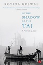 In The Shadow Of The Taj