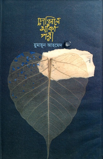 [9789848795699] পেন্সিলে আঁকা পরী