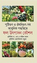 পুষ্টিগুণ ও ঔষধিগুণ সহ আধুনিক পদ্ধতিতে: ফল উৎপাদন কৌশল