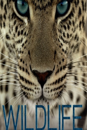 [9780241370629] Wildlife The Definitive Visual Guide To Animals Life on Every Continent
