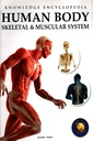 Human Body: Skeletal & Muscular System