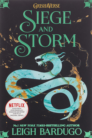 [9781510105263] Siege and Storm