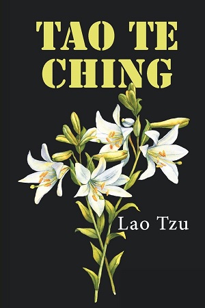 [9789355202093] TAO TE CHING