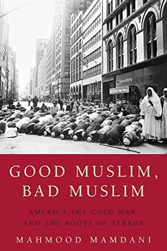 [9780385515375] Good Muslim, Bad Muslim