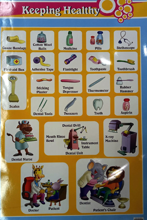 [9788179876541] Keeping Healthy Chart