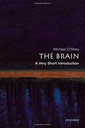 The Brain: A Very Short Introduction