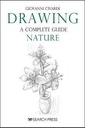 Drawing- A Complete Guide: Nature