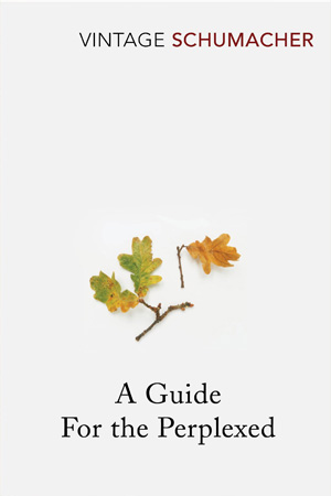 [9780099480211] A Guide For The Perplexed