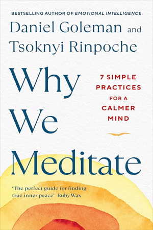 [9780241527870] Why We Meditate